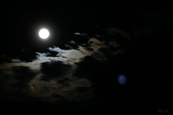 229 :: Full moon in June